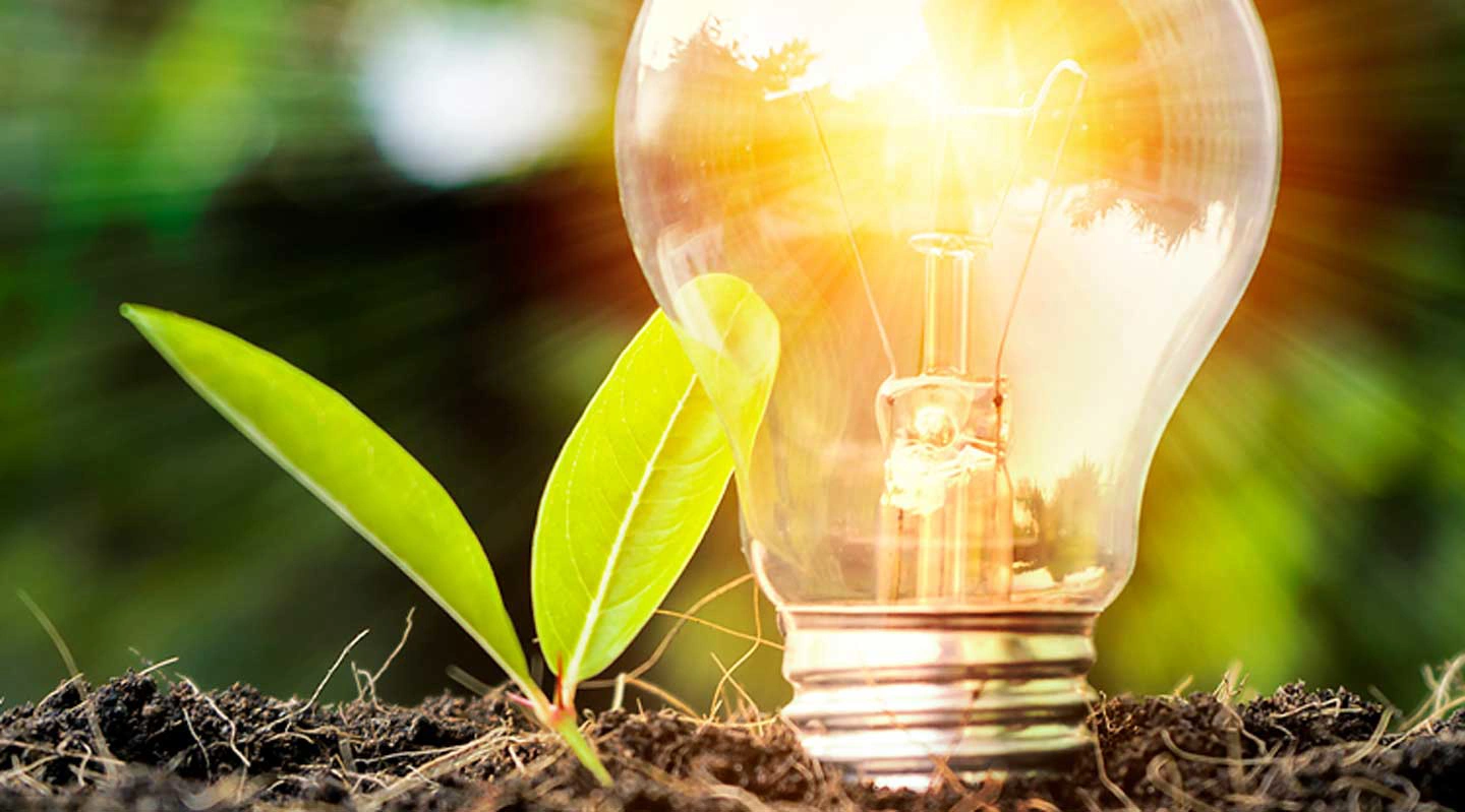 Why the time is right for brands to go green