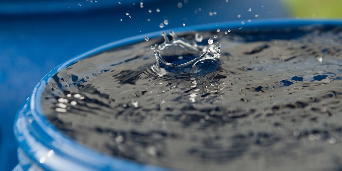 Water in water butt