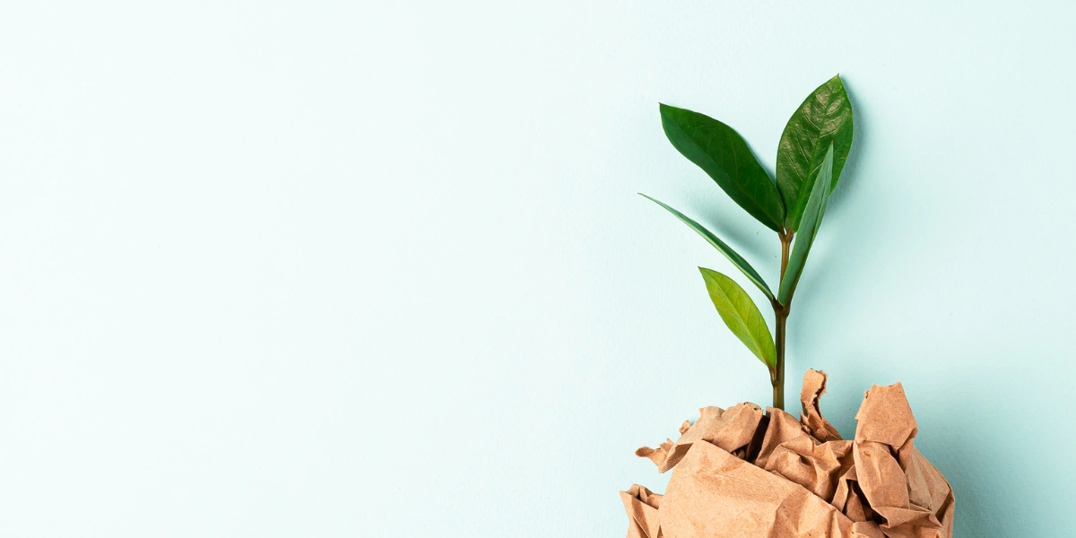 What does the Green Claims Code mean for brands?
