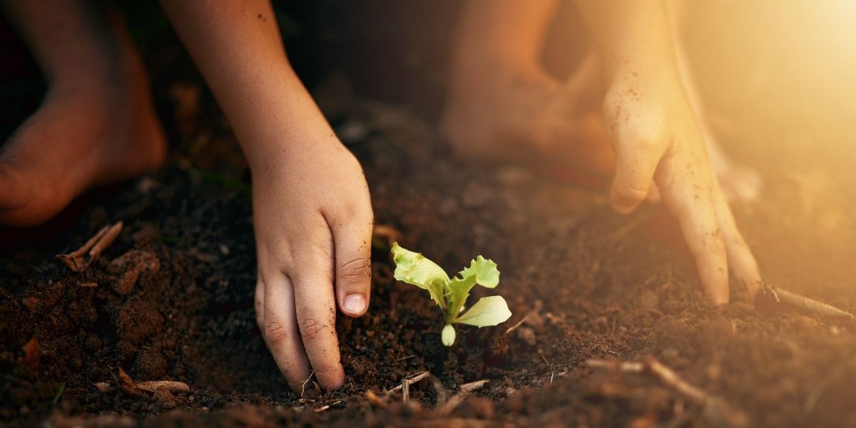 Child gardening