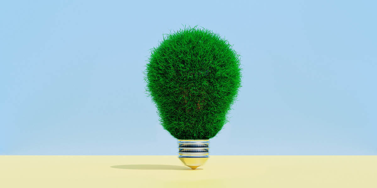 Light bulb covered in grass