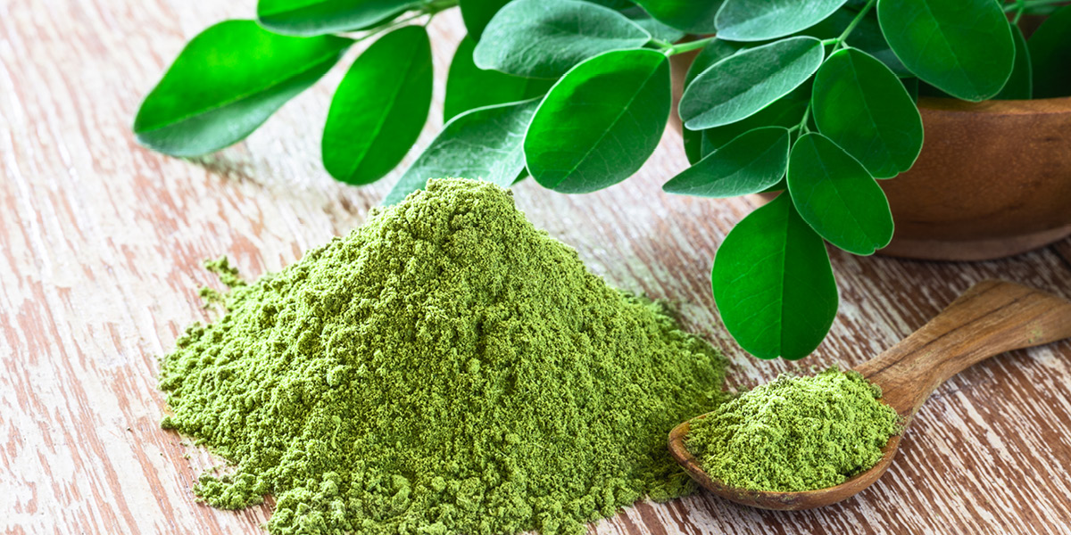 Moringa powder next to a plant and with a spoon