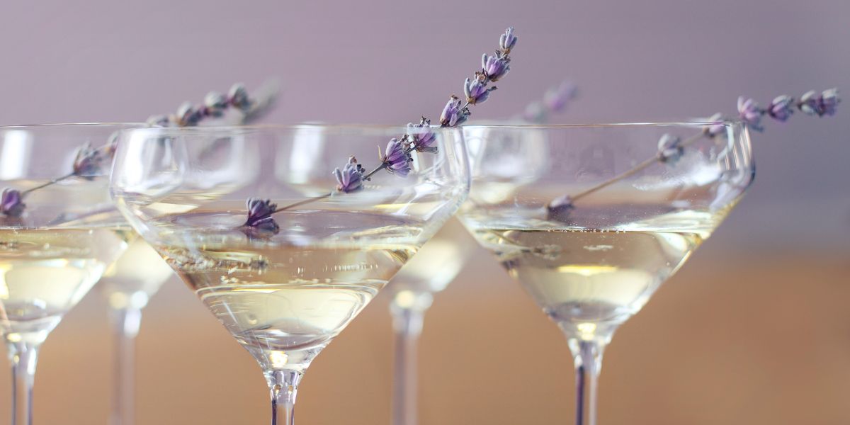 lavender springs in champagne glasses